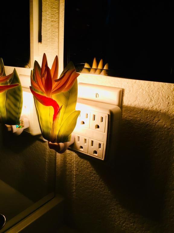 Pacific Butterfly Apartamento